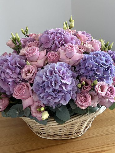 Звездная ночь