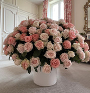 Girl-with-a-Pearl-Earring